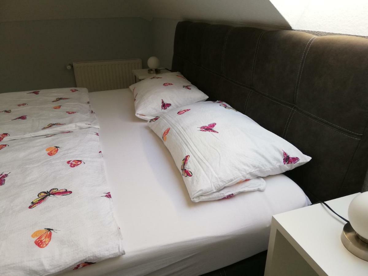 Ferienwohnung Panoramablick ليزا المظهر الخارجي الصورة
